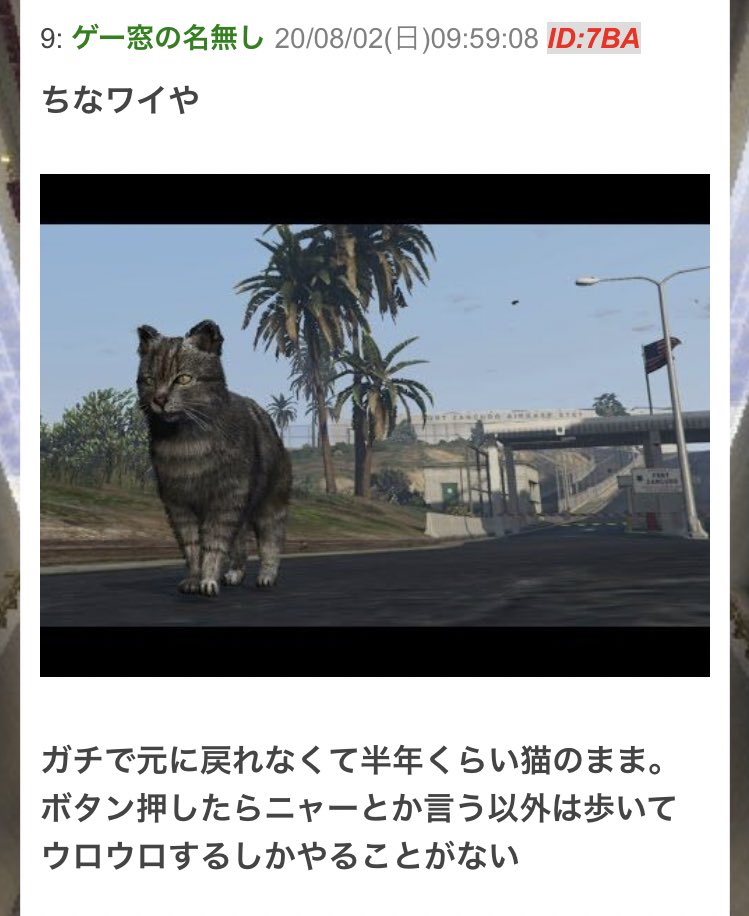 火炎猫の呪い Togetter