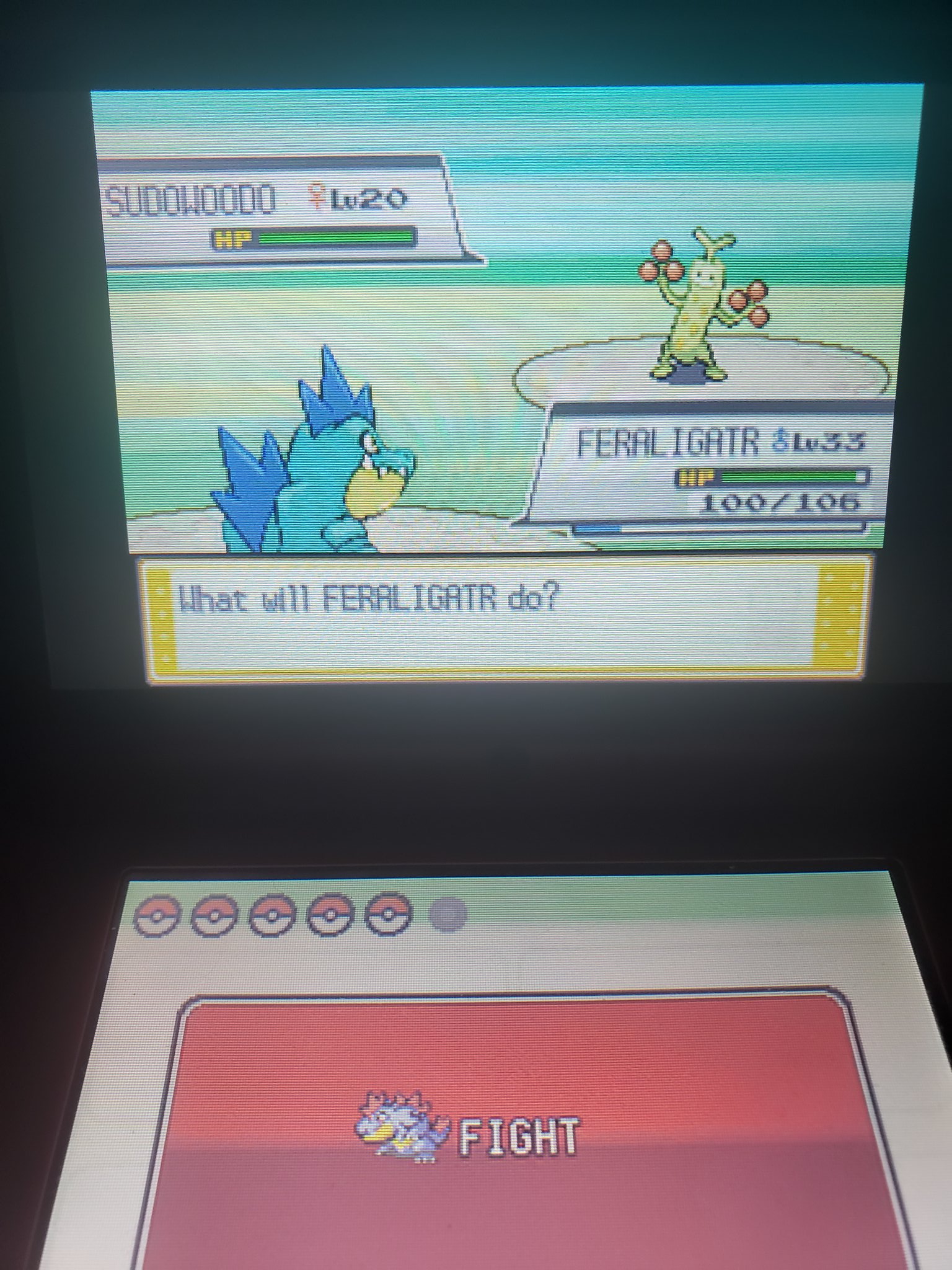 Ritual Shiny Sudowoodo Hg Time Hours 41 Minutes Sr 15 Started Hunting Again Great Shiny To Kick Off My Return Still Hunting For A Starter For