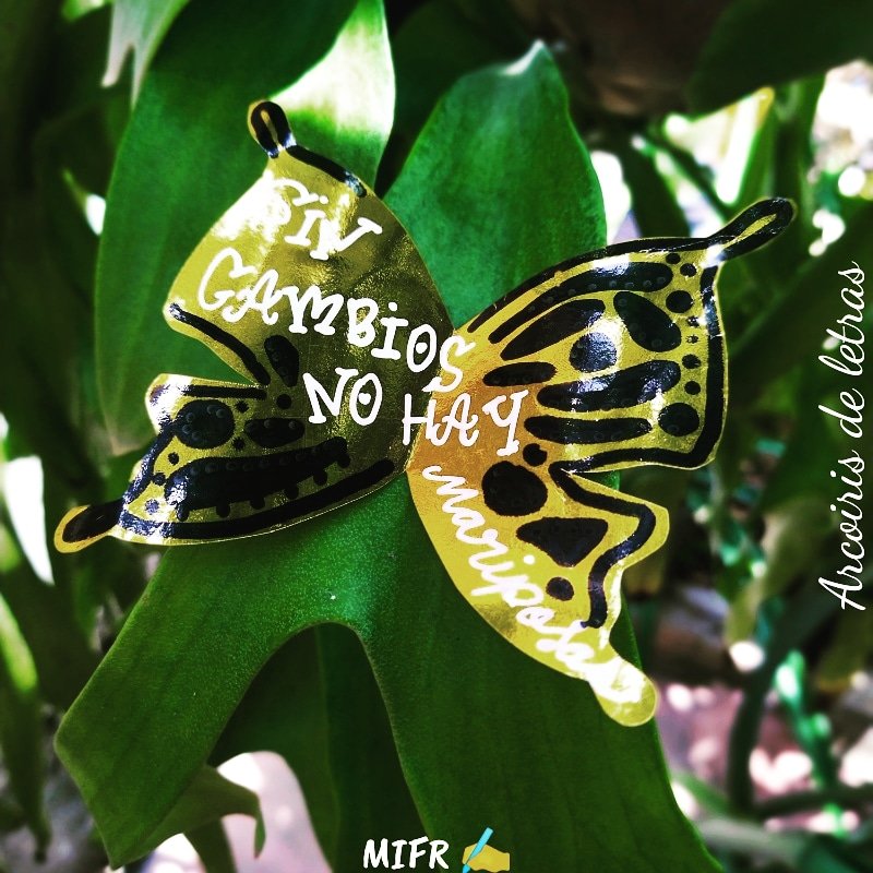 mifr1603's tweet photo. Lo único constante es el cambio
🐛➡️🦋
#MIFR
#ArcoirisDeLetras🌈✍🏼
#Animo #MentePositiva #Frases #Determinación #Poder #Felicidad #Motivación #Vida #Color #Esmpoderamuento #Actitud #Valor #Mensajes #Optimismo #MotivandoElLunes
https://t.co/GwSNFbxLhe https://t.co/qeYgANUCqn