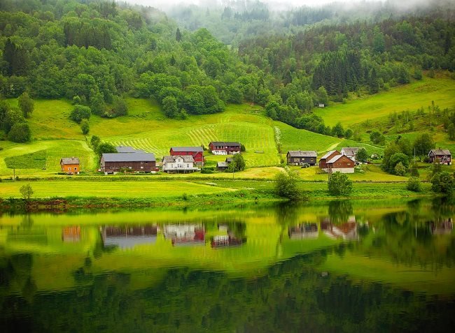 gauthie74757302's tweet photo. Good morning my dear friends from around the world🌍🌎🌏
Wishing you a wonderful Tuesday of happiness everyone 🦜💚🤗 https://t.co/mA7XJ4EEXZ