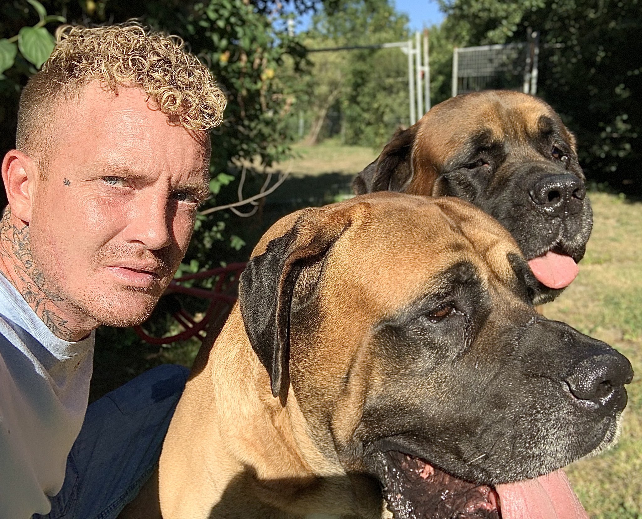New hope sale rescue adoption center