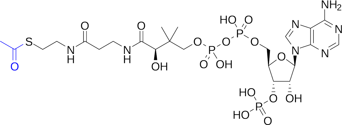 Question 9: If you had to get one metabolite tattooed on your biceps  which one would it be?  #tattooart