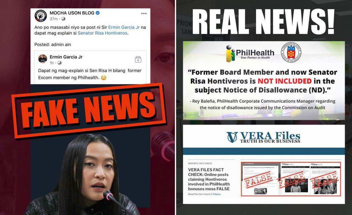 risa hontiveros tweet media