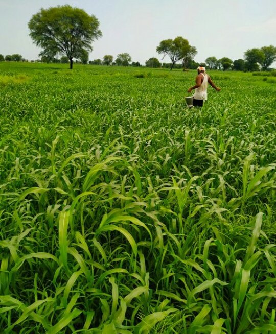 #जोहार🌿🍃 आदिवासी #जोहार🌿🍃 प्रकृति 
09 #अगस्त विश्व आदिवासी मनाओं #गाँव गाँव ढाणी ढाणी
#कोरोना महामारी का ध्यान में रखते हुए #बड़ी बड़ी धूमधाम से
मनाओ   #यहीं आदिवासियों का #असली त्यौहार
#आदिवासियों ने प्रकृति🌿🍃 #माँ को हराभरा रखा
