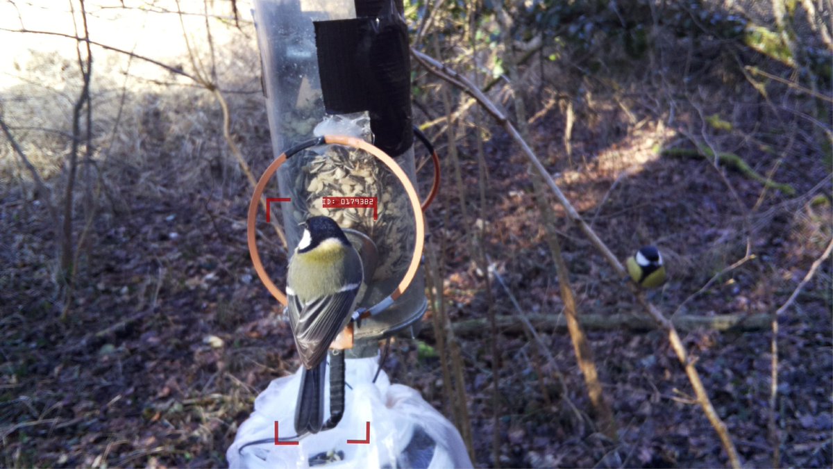 Science Ukraine tweet media