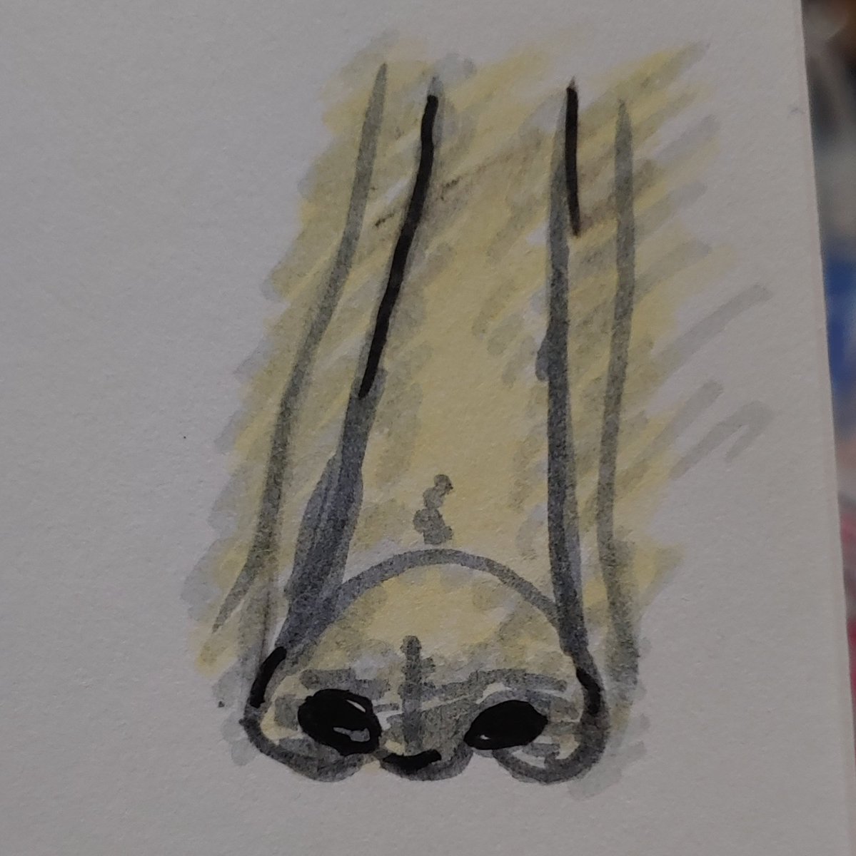 for  @heyktula i... made an Attempt at liam garrigan& #39;s nose but it Did Not Work