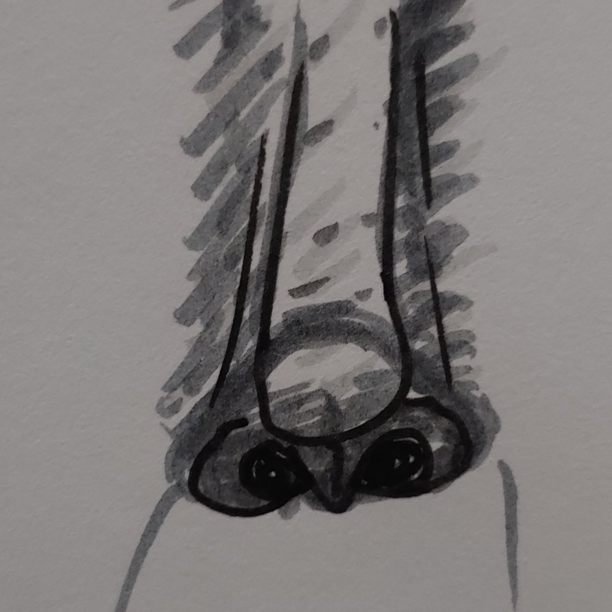 for  @heyktula i... made an Attempt at liam garrigan& #39;s nose but it Did Not Work