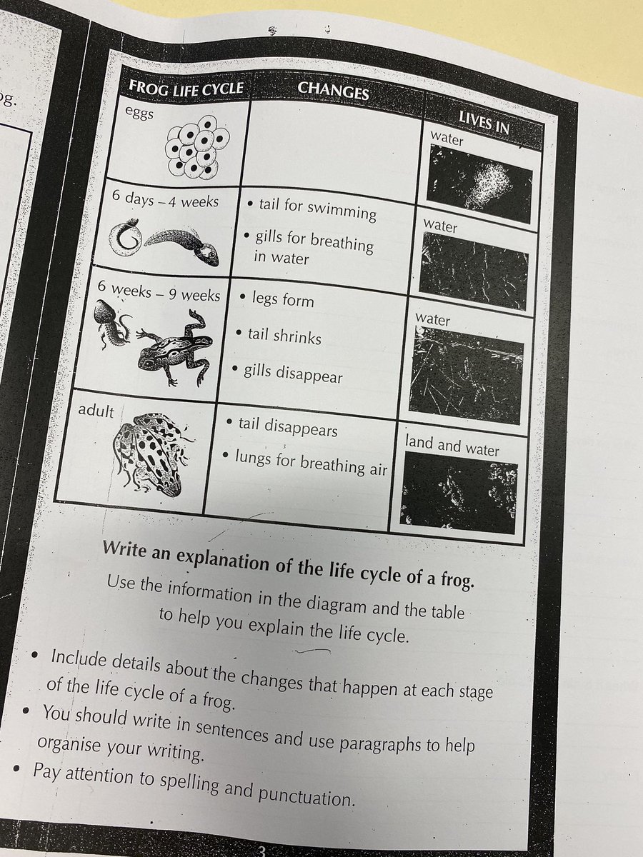 Today I had the pleasure of visiting 3R who were learning about informative texts, such as explanations. Students were exposed to a variety of multimodal and written texts to build background knowledge on the life cycle of a frog. <a href="/RobensDenise/">Denise Robens</a> <a href="/Regentville_PS/">Regentville PS</a>