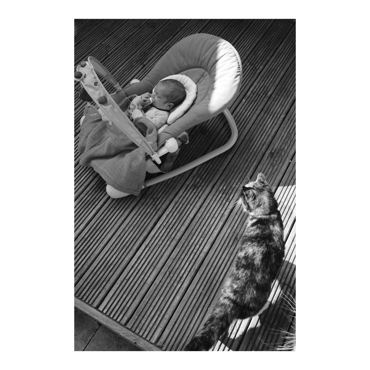 Having a B&amp;W week #leicam10 #35mmsummicron #leicacamera