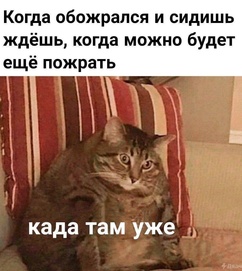 Лепра (@leprasorium) on Twitter photo 