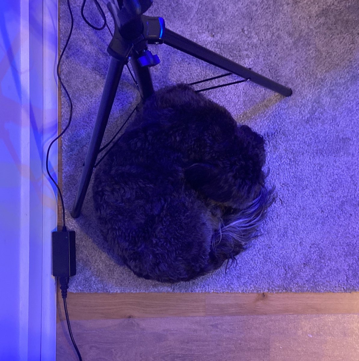 He sleeps as if the whole apartment has tilted to one side and he has slammed into the wall.