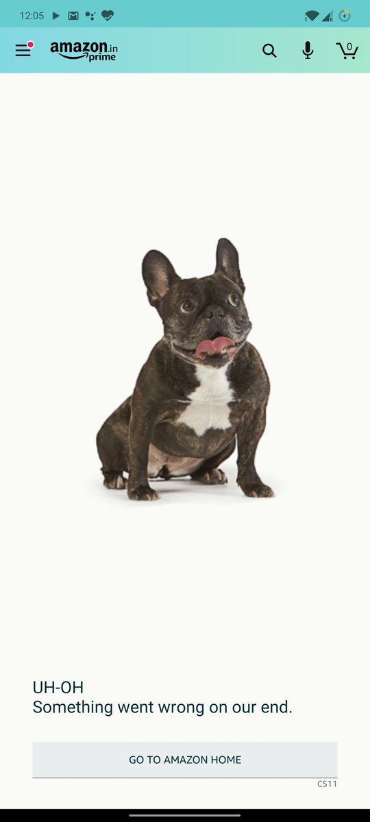 RaySadanand's tweet image. Amazon Selling one plus buds / pugs 
@amazonIN @OnePlus_IN