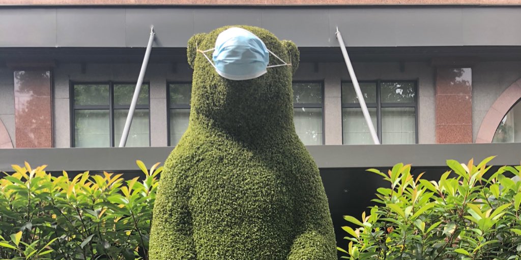 offthetouristt1's tweet photo. Even the bears #MaskUp in #Strasbourg > Happy to be back in France 🇫🇷 https://t.co/7Mmq9ABLST