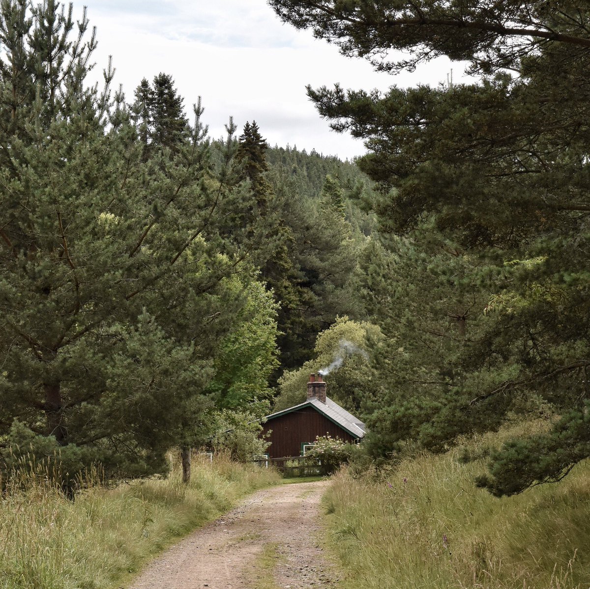 The cabin in the woods at @Glen_Tanar 🏡 Its cosy fire smell filling the air along with the surrounding pine, I wish I could bottle it!! 🥾🍃 #hiking #walking #aberdeenshire #glentanar #visitscotland @visitabdn @VisitCairngrms @VisitScotland @walkhighlands