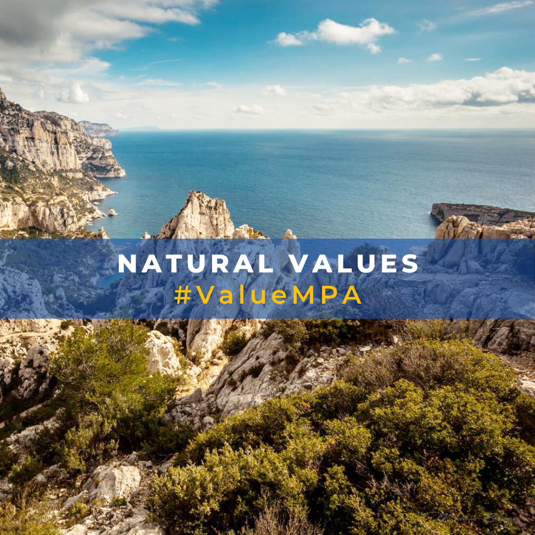 MPA4Change's tweet photo. #ValueMPA is one of the categories we set for our Instagram contest #4pictures4Mediterranean
Show us the natural values of #AMPTavolara, #AMPPortofino, #ParcnatioNaldesCalanques #ZakynthosMPA, #PNcapdecreus, #N2000LitoralBaixEmporda or/and #BrijuniMPA
#mpacontest https://t.co/1MRjqnUwsN