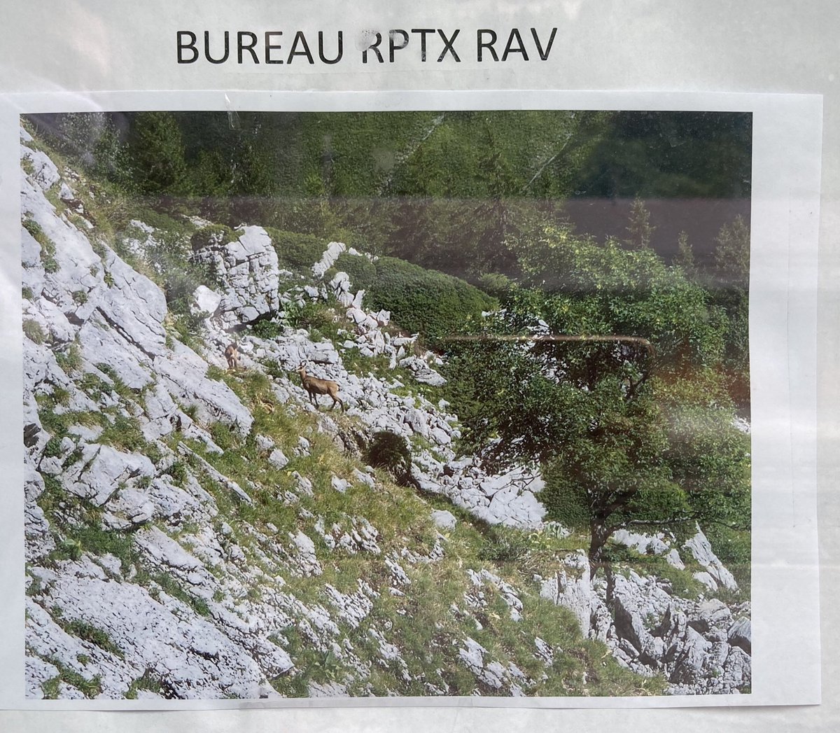 Le bureau de je sais pas quoi sur le quai du train à Modane. Des idées ? ⁦<a href="/GentilCedric/">Cédric Gentil</a>⁩ ⁦<a href="/RValiasRV/">Hervé DAGO</a>⁩