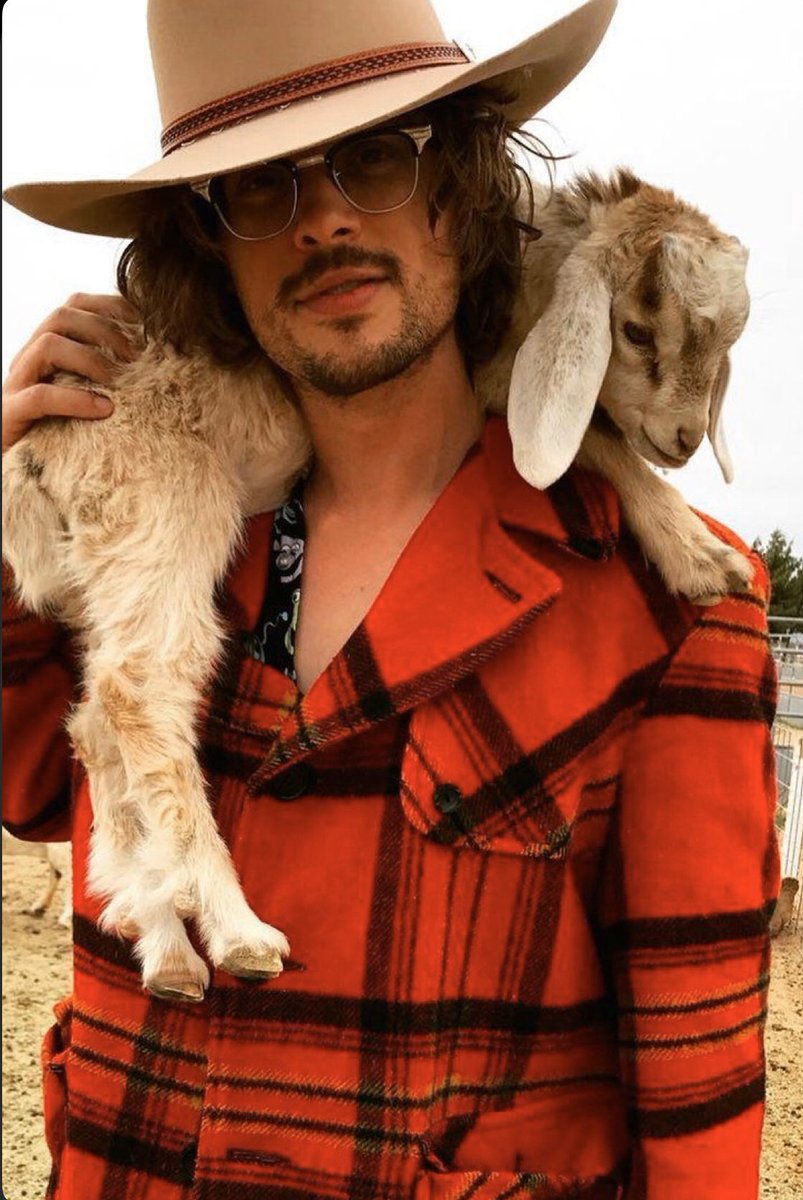 Harry Styles as Matthew Gray Gubler; a thread