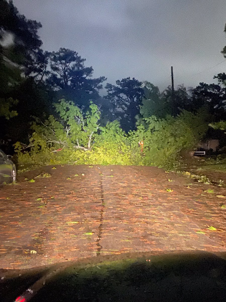 COJacksonville's tweet photo. 3AM, August 4, 2020 - Images of storm damage are coming in from Jacksonville Public Safety patrol units. A large tree is down with power lines at Woodhaven Drive and Maple Street. Trees are also down on Robinson Drive, Stratford Road, and Bayshore Boulevard. https://t.co/ToypP0C9Bg