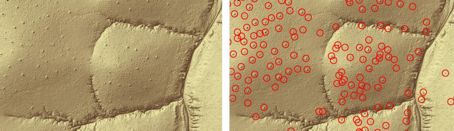 andrewbdavies's tweet photo. We know #termites are important in ecosystems but can they continue to provide benefits in human landscapes? We mapped #termitemounds with #LiDAR and #DeepLearning finding encouraging resistance but also clear differences https://t.co/UP72PgD77O @pgbrodrick @FunkyAnt @greg_asner https://t.co/qR8PUbp4ej