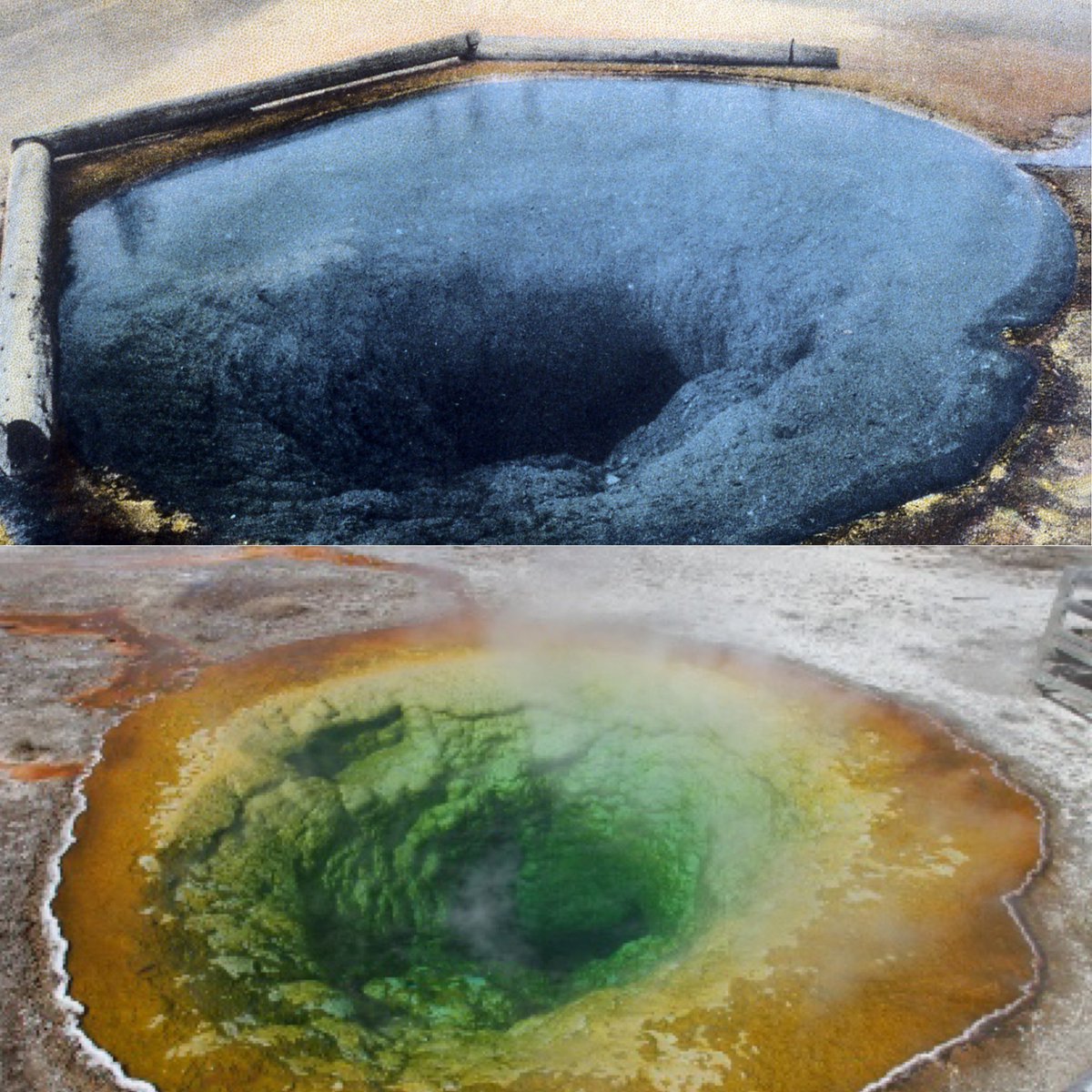 Morning Glory Pool, 1928 and 2015 - the color change caused by irresponsible visitors. Learn more in our history: yellowstoneinsider.com/2015/09/07/old… #OldYellowstone