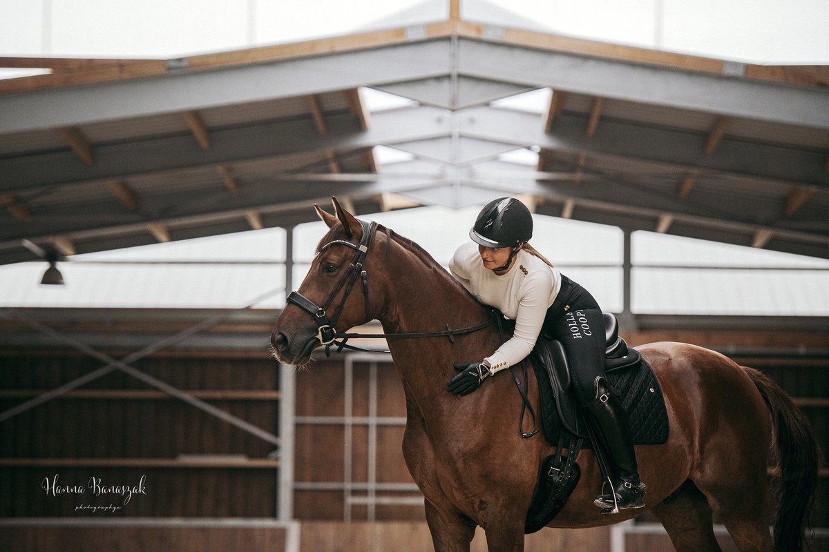 val_chiasson's tweet photo. My horse Quality 44 we will start compète very soon in France national championship 🐴#quantensprung #5yearsold #dressagehorse @FairfaxSaddles @HollandCooper @Equestrian_Can https://t.co/dMhFRUT9OF