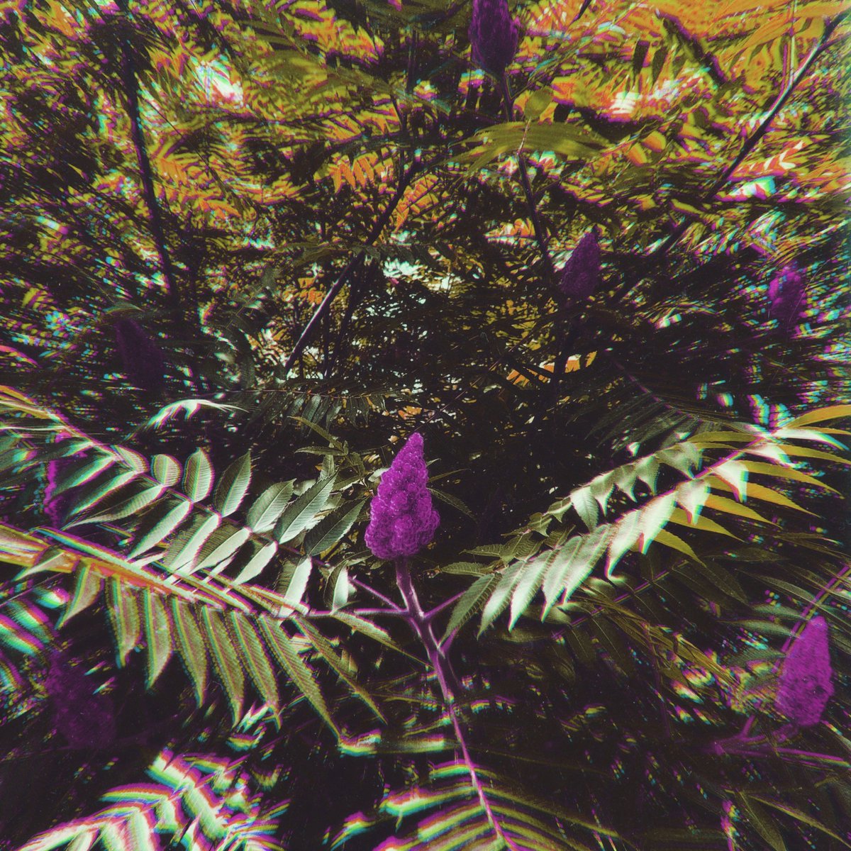 "Only when all props and crutches are broken, and no cover from the rear offers even the slightest hope of security, does it become possible for us to experience an archetype that up till then had lain hidden… this is the archetype of meaning." - Carl Jung