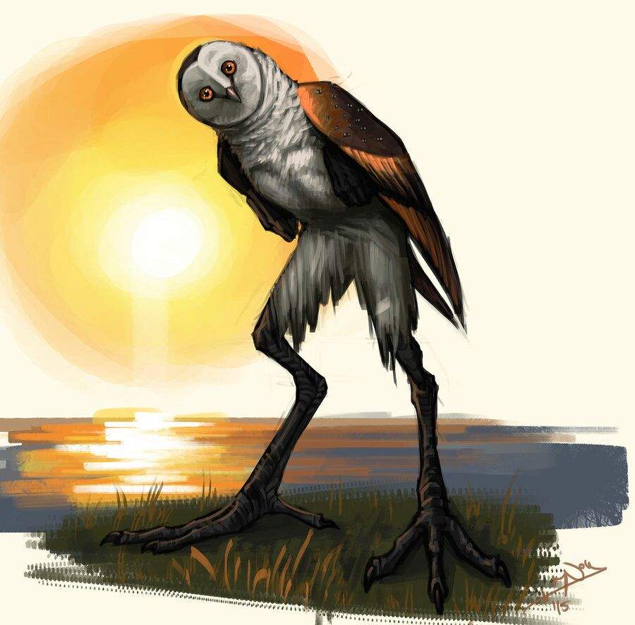 folk_horror's tweet image. Chickcharnies live in pine forests on the island of Andros, #Bahamas. If you meet one and are polite they will help you, but if you are rude they will twist your head off. They are suggested to be based on giant extinct barn owls #InternationalOwlAwarenessDay #FairyTaleTuesday