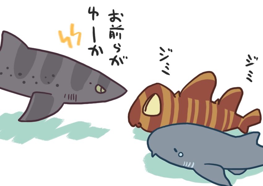 イヌザメさんとネコザメさん #サメ #shark 365 そう君達が見ている水槽 イヌザメさんとネコザメさん #サメ #shark 365 そう君達が見ている水槽