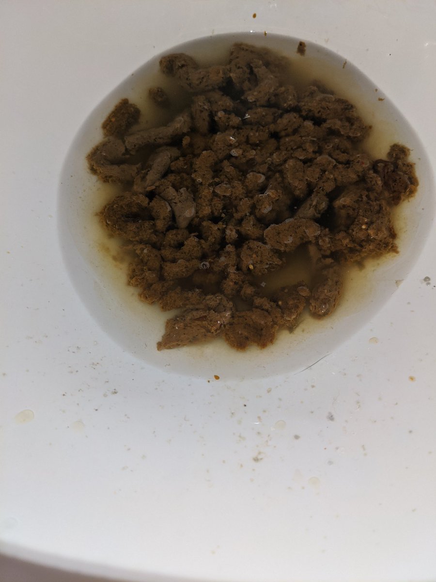 LovesPoop's tweet photo. The shit became pressurized as I waited for the plumber to replace the faucet. https://t.co/ySOQpSMLfa