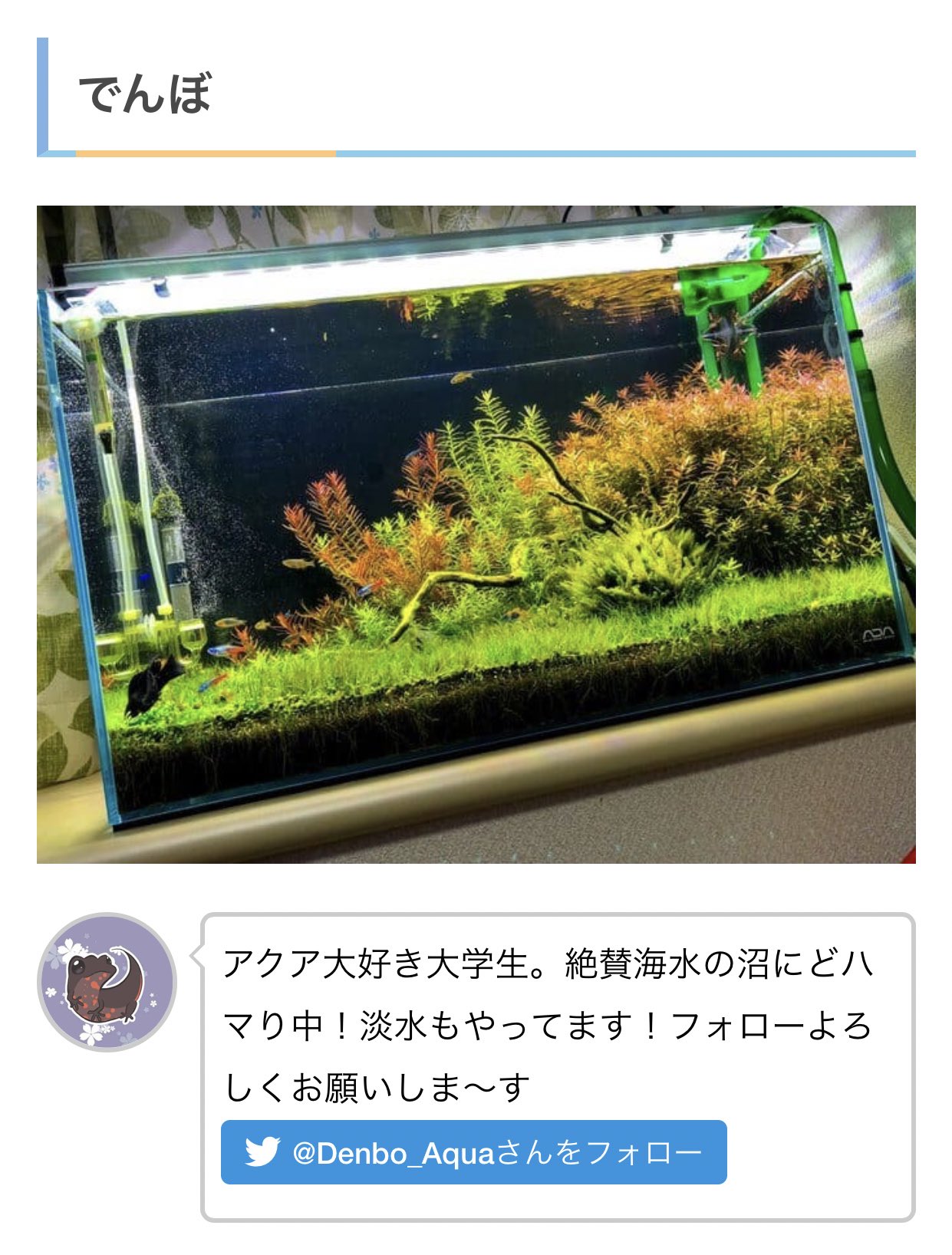 ゆう Aqua 60cm規格以上水槽レイアウト集 こちら掲載御協力頂ける方いませんか 最近リセットしている方が多いように見受けられるので フォルダに眠る前にみんなの参考レイアウトとして掲載したいです ボトルアクアや小型 中型水槽も募集してます ゆう Aqua 60cm規格以上水槽レイアウト集 こちら掲載御協力頂ける方いませんか 最近リセットしている方が多いように見受けられるので フォルダに眠る前にみんなの参考レイアウトとして掲載したいです ボトルアクアや小型 中型水槽も募集してます