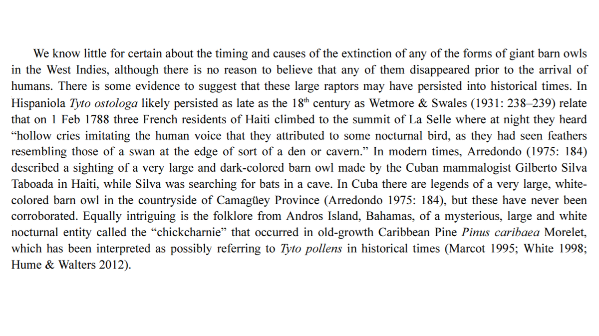 folk_horror's tweet image. Numerous species of giant barn owl lived in the West Indies and some may have survived until very recently #cryptozoology
Apparently the night cries heard in 1788 were thought by some to be made by zombies
Full details on the giant barn owls in this paper:
repository.si.edu/handle/10088/2…