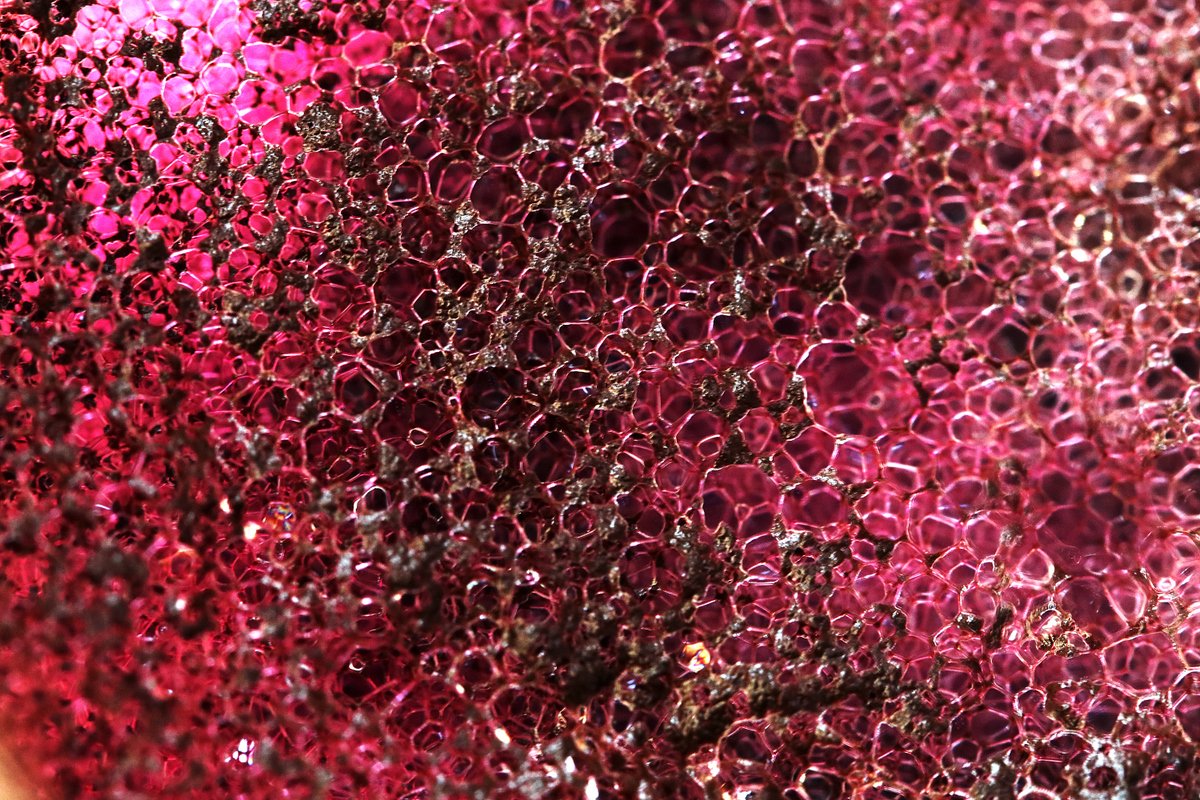 np_photographer's tweet image. bit.ly/3flVwys Bubble Macro #bubblemacro #homeexperiments #easyhomeexperiments #scienceexperiments #homeideas #homephotographyideas #homemacroideas #canonphotography #Bubbles #abstract #creativeideas