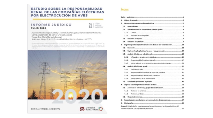 mmbanque's tweet photo. Informe de la Clínica Jurídica Ambiental @universitatURV sobre responsabilidad penal de las compañías eléctricas por electrocución de aves. Gran trabajo de estudiantes del Máster Univ. en Derecho Ambiental @CEDATURV

➡️https://t.co/u5NgQN1zj3

@gepecedc @SOStendidos @SEO_BirdLife https://t.co/S8Fvgjr8sE