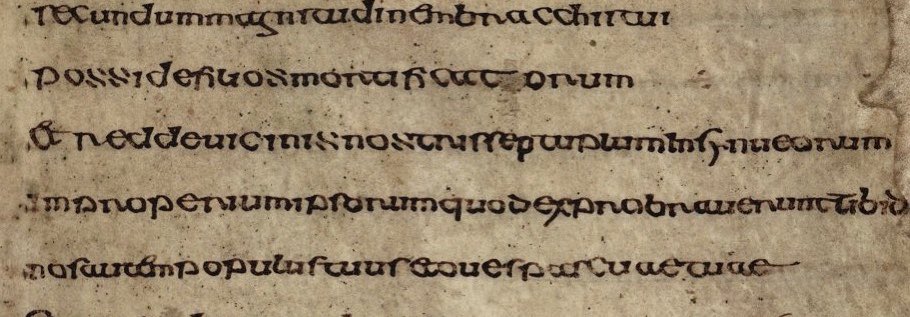Written in Latin. The Cathach is the oldest extant Irish manuscript of the Psalter and the earliest example of Irish writing. Today we’ll look at the script.
