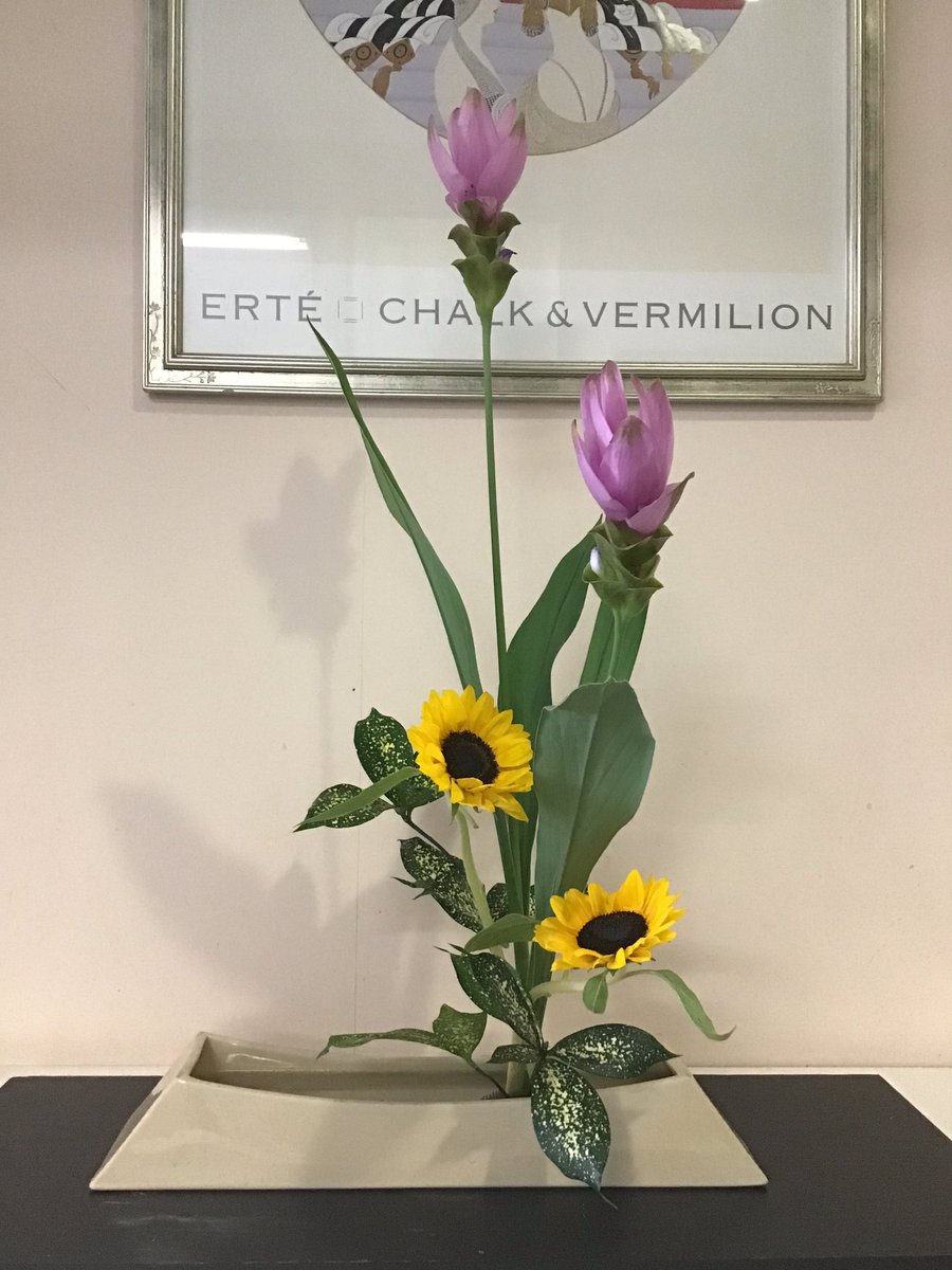 ポップジャパン公式 V Twitter 今日の花 向日葵とピンクはクルクマ 英名 シャムチューリップ タイのチューリップだそう 花言葉は あなたの姿に酔いしれる 酔いつぶれて 花言葉 クルクマ