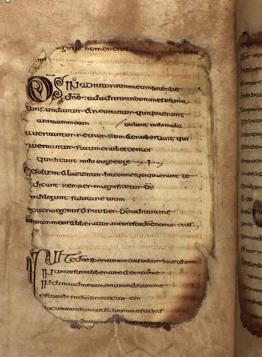 The manuscript would have originally had c.110 leaves, 58 survive. It contains a Vulgate version of Psalms XXX (10) to CV (13). The psalms are arranged on the page ‘per cola et commata’ (by phrases and clauses). This makes the text easier to read or chant aloud.