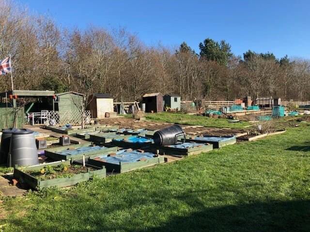 Gardening and outdoor space is great for your #Wellbeing 🌿which is why we want to tell you about our allotment tenancy available in #Willen and #Woolstone 🌻

With the sun shining, now is the perfect time to apply! ☀️ 
campbell-park.gov.uk/services/allot…
