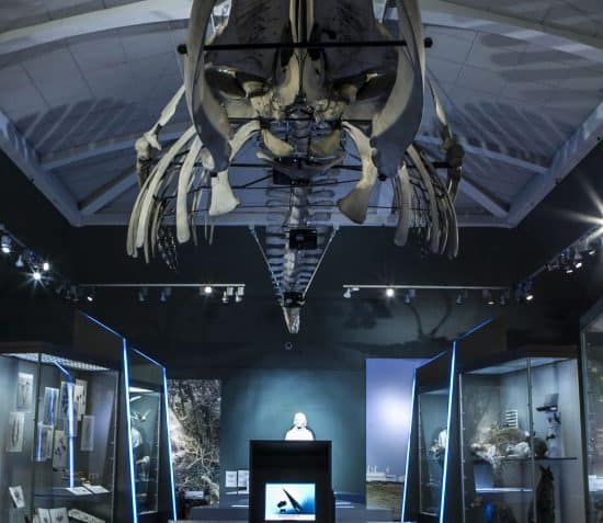 manxheritage's tweet image. We’re looking forward to seeing you this summer! 

Visit the Manx Museum or House of Manannan open daily, 10am to 4pm and help the Pagan Lady on her quest to find her magical beads. 

For more information visit: ow.ly/7Dg230r2hri