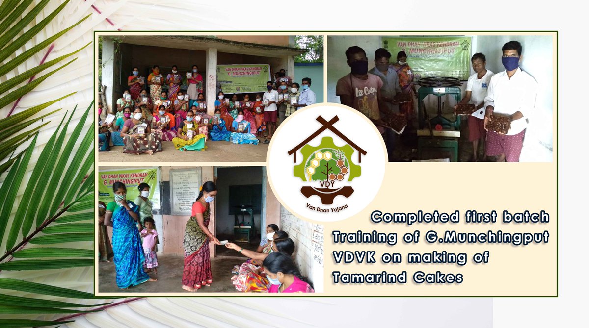 VanDhanSeVikas's tweet photo. Completed first batch training of G.Munchingput VDVK on making of Tamarind Cakes. Credit by MO New Life NGO, ITDA Paderu, #Visakhapatnam Dist in #AndhraPradesh.
@TribalAffairsIn @Pra87
#Training #TamarindCakes #Making #LivelihoodwithSecurity #TRIFEDforTribals https://t.co/aoIFNWo7rS