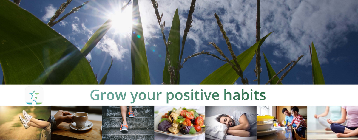 TomVanDaele's tweet photo. .@e_movit is an #iOS app to help you develop #positivehabits, even during these challenging times. Developed by @VUamsterdam, #COVID19-proof and a part of ongoing research on app uptake &amp; potential for support. Available in English, German &amp; Dutch https://t.co/ukEYF2u76W https://t.co/aMbfH21Gl7