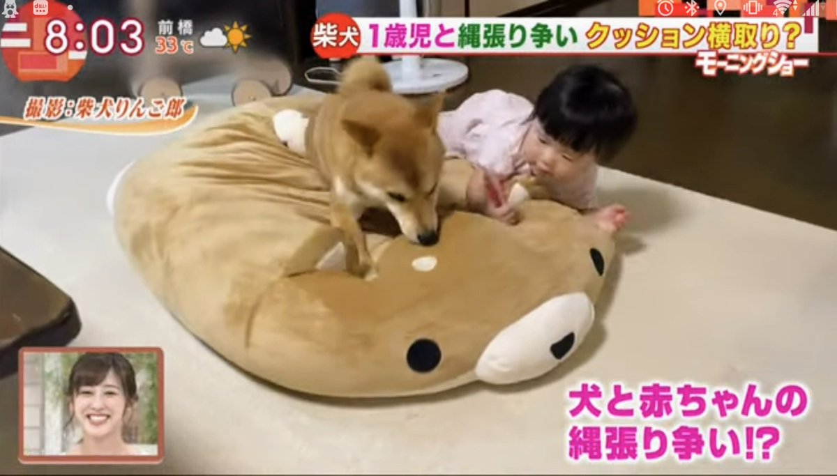 O Xrhsths Nrd50 S 斎藤ちはるアナ推し Sto Twitter 火曜朝のちーちゃん おまけ 柴犬のりんご朗 くんと1歳の女の子 来未 くるみ ちゃんの縄張り争い の話題で笑顔のワイプのちーちゃん 斎藤ちはる ちーちゃん テレ朝 アナウンサー 女子アナ 柴犬 O Xrhsths Nrd50 S 斎藤ちはるアナ推し Sto Twitter 火曜朝のちーちゃん おまけ 柴犬のりんご朗 くんと1歳の女の子 来未 くるみ ちゃんの縄張り争い の話題で笑顔のワイプのちーちゃん 斎藤ちはる ちーちゃん テレ朝 アナウンサー 女子アナ 柴犬