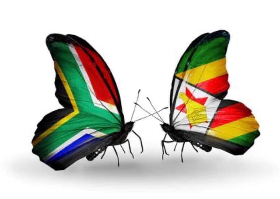 Zimbabweans lives matters too @edmnangagwa The day this 2 unite Africa will be a better place with dignity