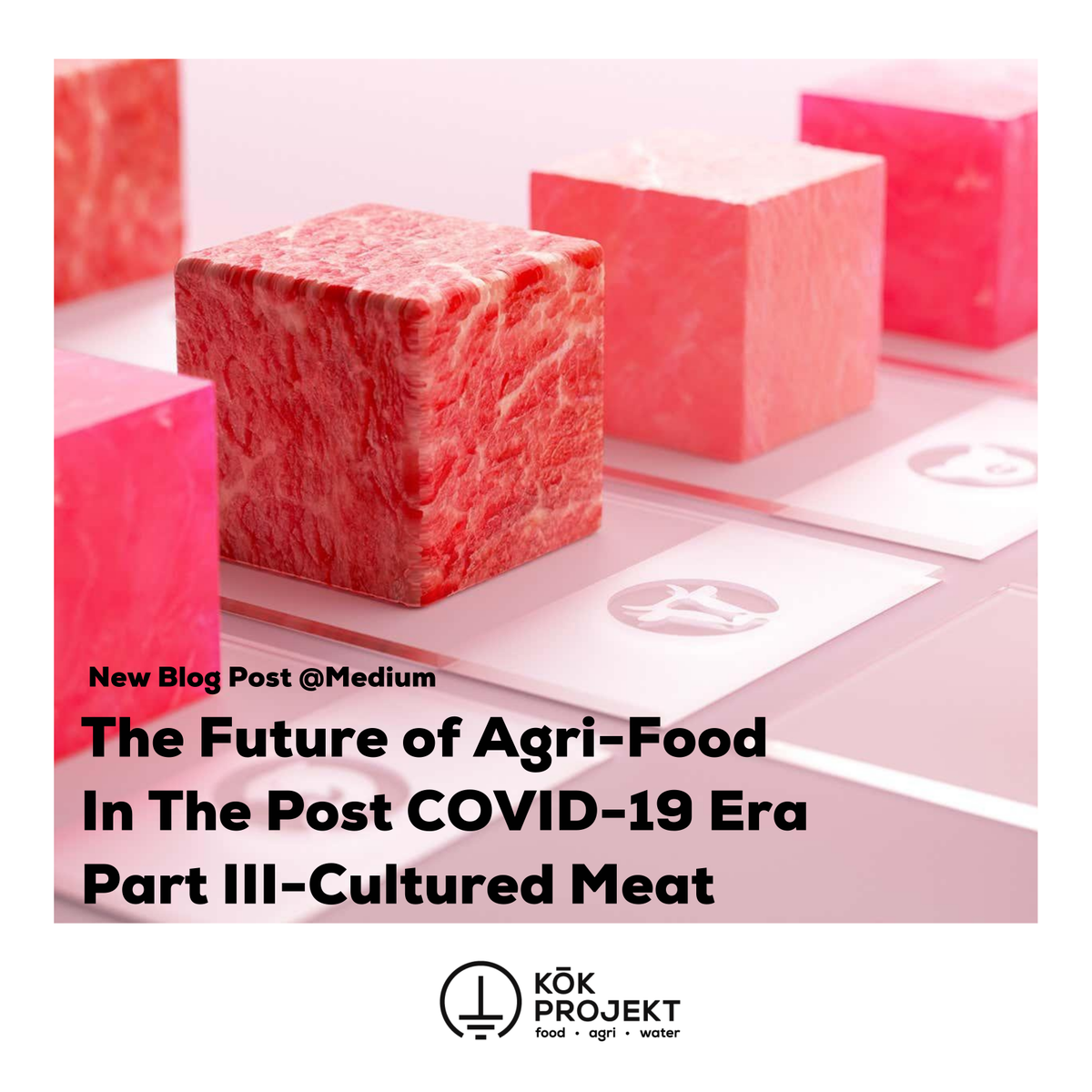 KokProjekt's tweet photo. Check out our blog at Medium!
In our new article, we’ve shared The Future of Agri-Food In The Post COVID-19 Era: Part III-Cultured Meat
https://t.co/NyjnPFsBKv
#agritech #foodtech #culturelmeat #cellbase https://t.co/U0Nc7o6Q2E
