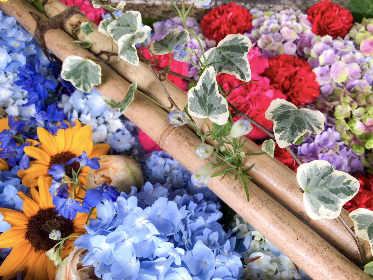Terumi Blue Red 華やか花手水 花手水 はなちょうずの読み方を覚えた今年の夏でした 花 花手水 写真好きな人と繋がりたい Photo Flower 神社巡り Sonya6000 Twitter初心者 Twitter夏祭り 錦山天満宮 T Co Cl6b7xjftl