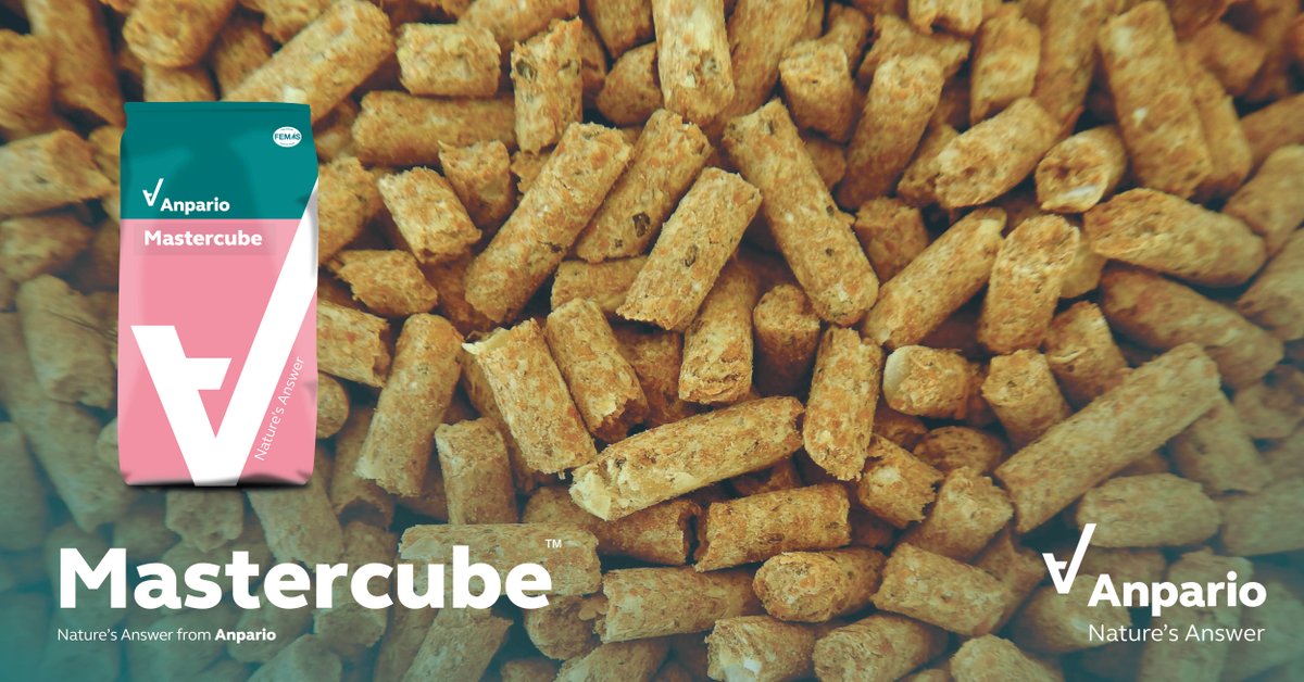 anparioplc's tweet photo. Did you know: #Mastercube's superior performance at a low inclusion results in cost effective pellet binding and more nutritional space in the feed formulation.
Read more: https://t.co/Xo8DhgKVIZ
#FeedQuality #SaveEnergy #ImproveThroughput #PelletBinder #NaturesAnswer https://t.co/cNktDvkqLe