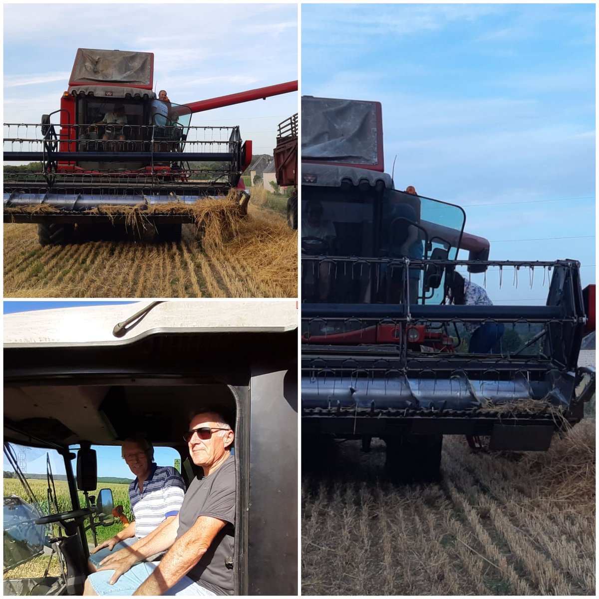 joseph_leterme's tweet photo. Cette année nous avons profité de la récolte d'une parcelle de blé près du village pour proposer un tour de moissonneuse. #invitetonmaire Nous avons reçu entre autres le maire et le premier adjoint de #Landricourt pour échanger sur l'agriculture @usaa_02 @BeaUsaa @JYBricout https://t.co/QM1uOImGKm