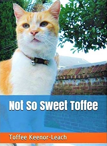 Not So Sweet Toffee tweet media
