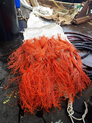 WURmarine's tweet photo. Dit jaar op bakboord yakleer, en op stuurboord pluistouw. De boomkorsurvey test #innovatie #visserij #vangsten #vispluisvrij #plasticsoup; https://t.co/SzvgL4fdn6 https://t.co/vlYIDlOkA7