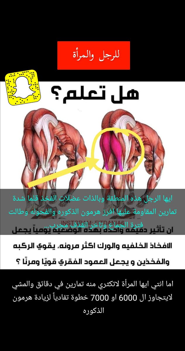 حساب مختص بالرجيم والصحة العامة والتغذية اشتراك مجاني...