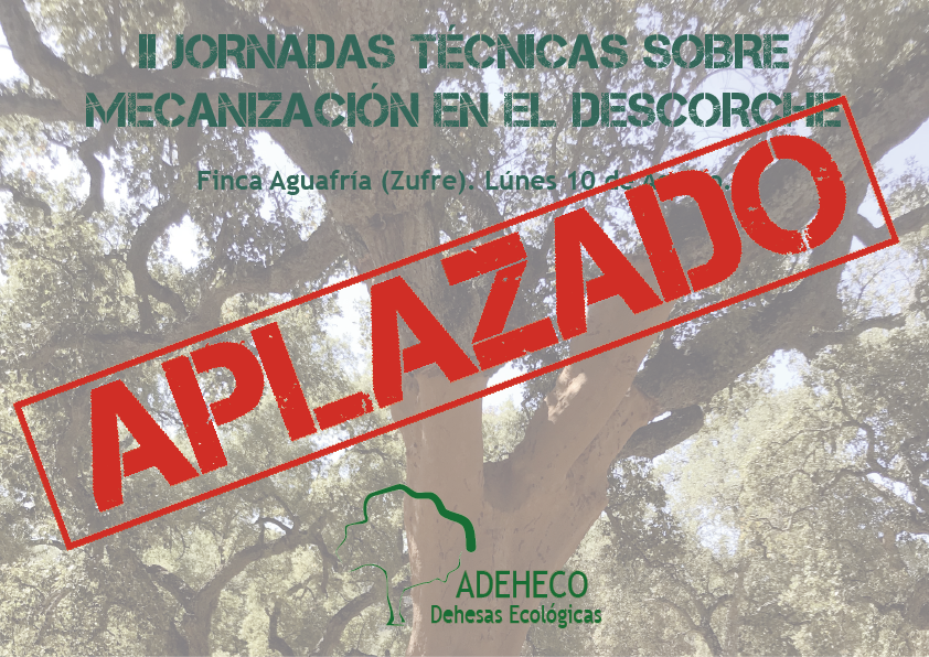 adeheco tweet picture